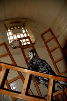 View larger version of Dee Shaw's installation, Carceri.